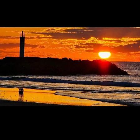 Studio Au Cap D'Agde Dans Les Pinedes 외부 사진