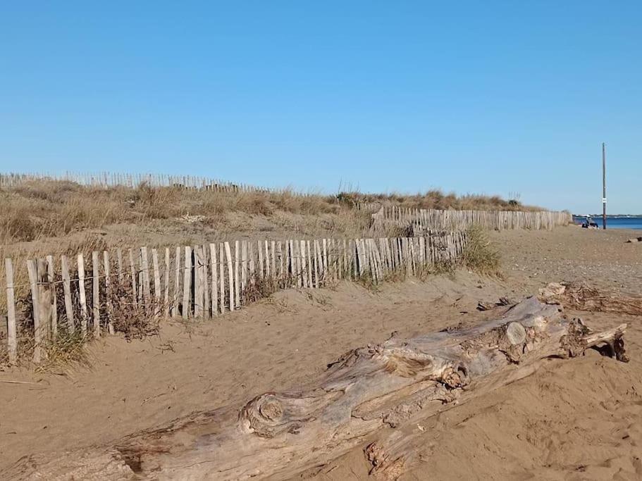 Studio Au Cap D'Agde Dans Les Pinedes 외부 사진