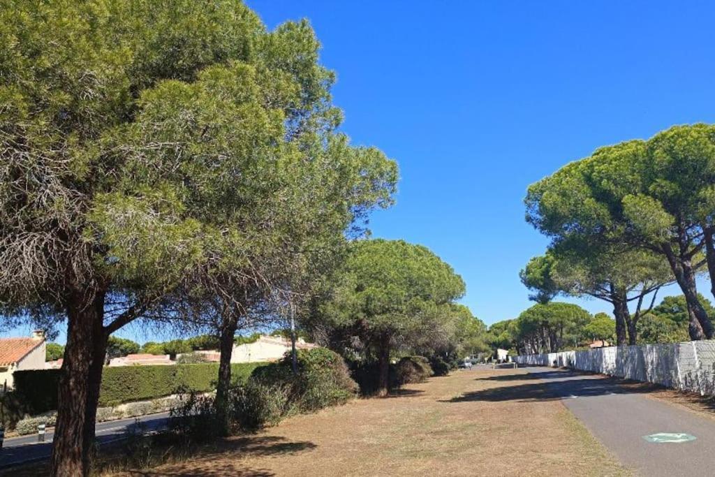 Studio Au Cap D'Agde Dans Les Pinedes 외부 사진